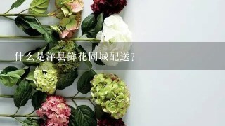 什么是洋县鲜花同城配送？