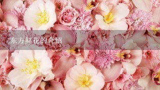 东方鲜花的介绍