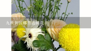 9所新区哪里送鲜花