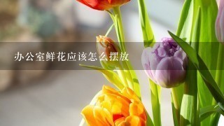 办公室鲜花应该怎么摆放