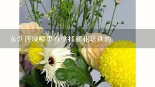 东营西城哪里有学插鲜花培训的