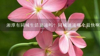 湘潭有同城生活速递吗？同城速递哪个最快啊~ 能送餐送鲜花送蛋糕什么的~