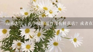 海南大学3亚学院附近有没有鲜花店？或者在市区什么地方买鲜花方便些？谢谢各位了！