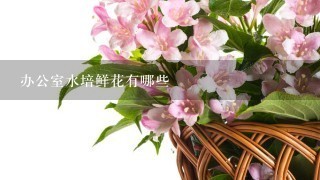 办公室水培鲜花有哪些