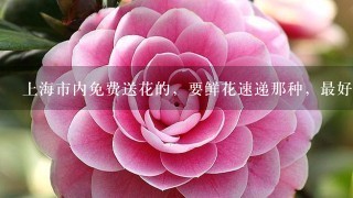 上海市内免费送花的，要鲜花速递那种，最好有联系方式的~~。