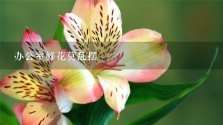 办公室鲜花莫乱摆