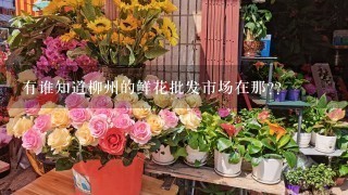 有谁知道柳州的鲜花批发市场在那??