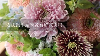 安庆汽车站附近有鲜花店吗