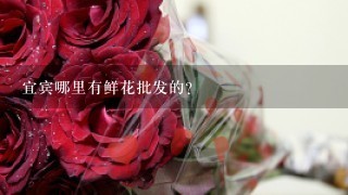 宜宾哪里有鲜花批发的？