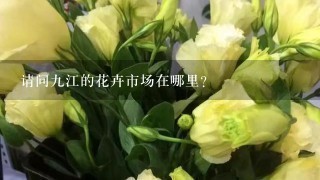 请问9江的花卉市场在哪里？