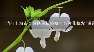 请问上海市奉贤区南桥镇哪里有鲜花批发!谢谢大家帮忙