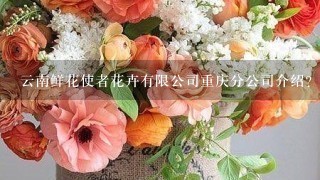 云南鲜花使者花卉有限公司重庆分公司介绍？
