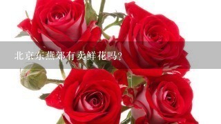 北京东燕郊有卖鲜花吗？