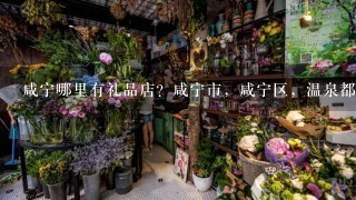 咸宁哪里有礼品店？咸宁市，咸宁区，温泉都可以。怎么现在礼品店都是卖鲜花的。
