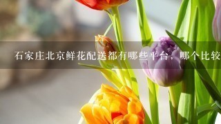 石家庄北京鲜花配送都有哪些平台，哪个比较便宜的？