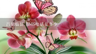 吕梁临县 EMS电话是多少