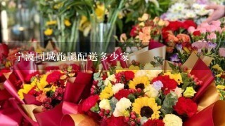 宁波同城跑腿配送多少家