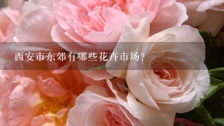 西安市东郊有哪些花卉市场?