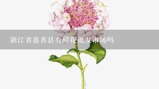 浙江省嘉善县有鲜花批发市场吗