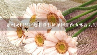 惠州龙门县附近有没有班车回广西玉林容县的呢？