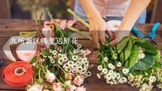 9所新区哪里送鲜花