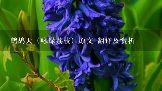 鹧鸪天（咏绿荔枝）原文_翻译及赏析