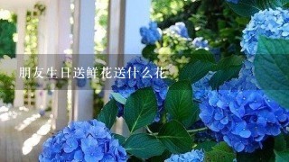 朋友生日送鲜花送什么花