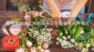 郑州中原区，桐柏路和宏河路哪里有鲜花店