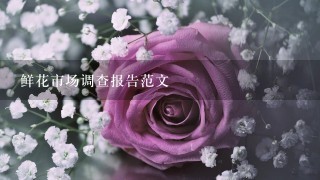 鲜花市场调查报告范文