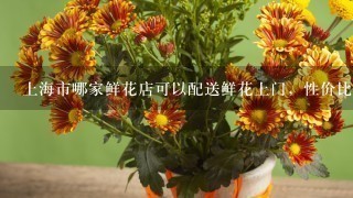 上海市哪家鲜花店可以配送鲜花上门，性价比也不错的？打算订束花。