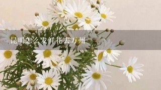 昆明怎么发鲜花去万州