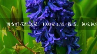 西安鲜花配送员，1000元工资+提成，包吃包住，大家觉得怎么样？我刚毕业！