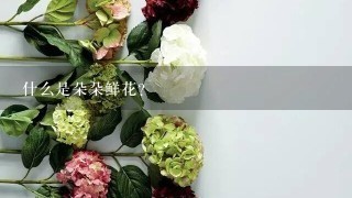 什么是朵朵鲜花？