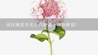 该区域是否允许在街道上销售鲜花？