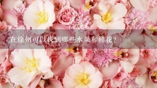 在徐州可以找到哪些水果和鲜花？