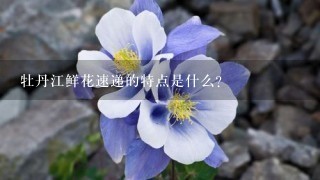 牡丹江鲜花速递的特点是什么?