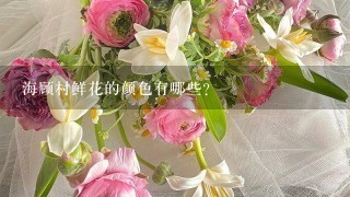 海顾村鲜花的颜色有哪些?