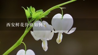 西安鲜花价格如何?