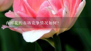 内鲜花的市场竞争情况如何?