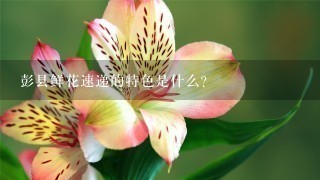 彭县鲜花速递的特色是什么?