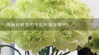 海顾村鲜花的生长环境有哪些?