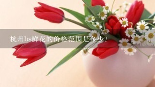 杭州hs鲜花的价格范围是多少?