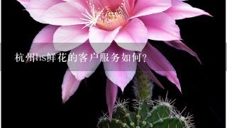 杭州hs鲜花的客户服务如何?